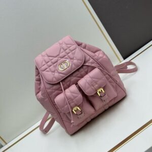 [국내배송]디올 카로 백팩